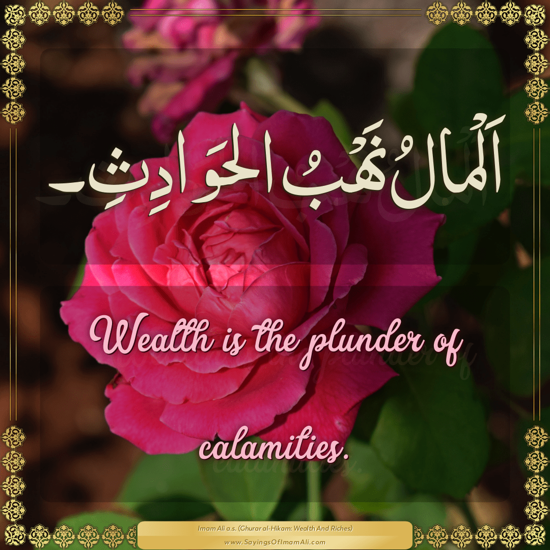 Wealth is the plunder of calamities.